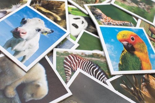 Tactic Tiere Babys Memo - Lernspiel für Kinder mit Tiermotiven-2