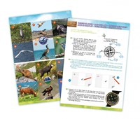 Buki Naturset - Entdecker-Spielzeugset mit Fernglas und Kompass für Kinder-3
