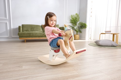 2 in 1 Rocking Horse-2