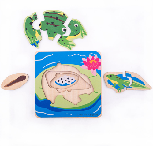Bigjigs Lebenszyklus-Puzzle Frosch-2