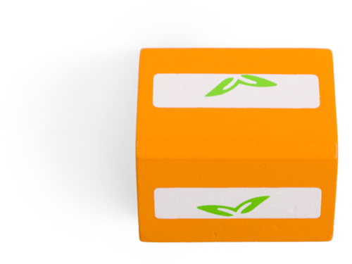 BigJigs Holzspielzeug Orangensaft Packung für Kinderküche-3