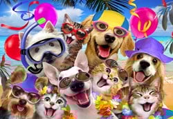Alipson Puzzle Selfie Beach Party - 1000 Teile