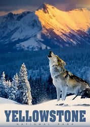 Alipson Puzzle Legespiel Yellowstone Wolf - 500 Teile Kunststoff