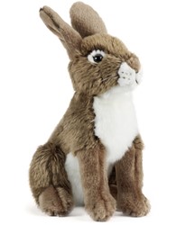 Living Nature Hase