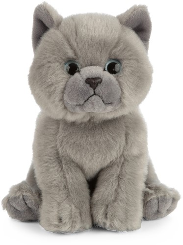 Living Nature Kuscheltier Britisch Grau Kurzhaar Kätzchen 16cm