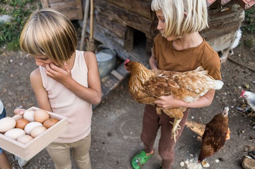Grapat Aufbewahrungsbox Spielzeug Organizer für Kinder-3