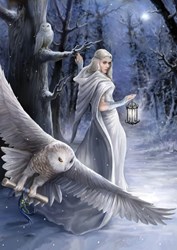 Art Puzzle Puzzle Midnight Messenger - 1000 Teile Fantasy