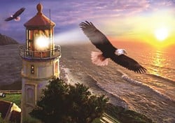 Art Puzzle High Flight at the Sun Rise - 1000 Teile