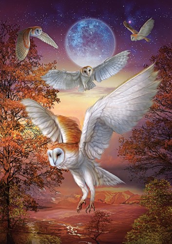 Art Puzzle Puzzle Moonlight Owls - 1000 Teile Karton
