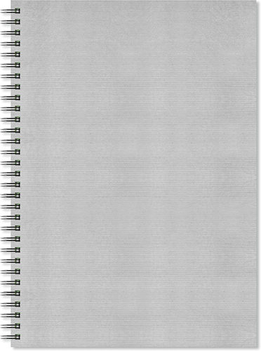 Artgecko Artgecko Flashy Spiral-Skizzenbuch A3 Hochformat 150 g 40 Blatt Silberner Einband
