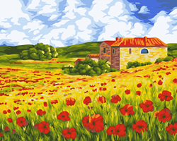 Artventura Artventura Schilderen op Nummer Papaver Veld 40x50 cm