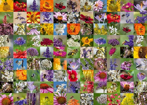 Ravensburger Puzzle Bienen - 1000 Teile Blumen Tiere Jigsaw