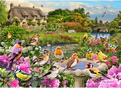 Gibsons Vogelgesang am Bach (1000)