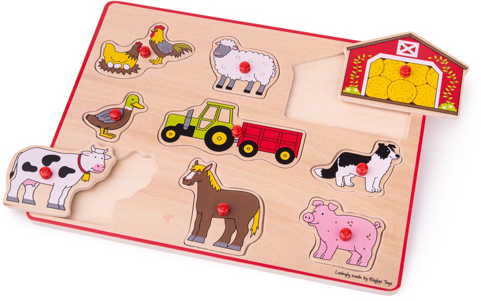 Bigjigs farm shop