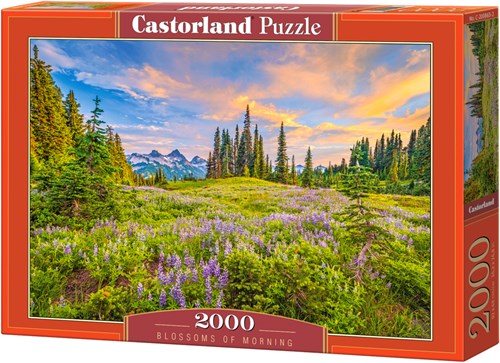 Castorland Puzzle Blossoms of Morning - 2000 Teile Jigsaw-2