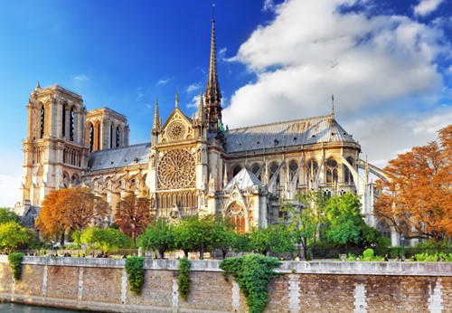Bluebird Puzzle Cathédrale Notre-Dame de Paris - 1000 Teile