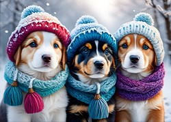 Bluebird Puzzle Puzzle Doggies in the Winter - 300 Teile Winterspaß