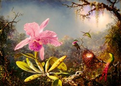 Bluebird Puzzle Kunstpuzzle Martin Johnson Heade Orchidee Kolibris 1000 Teile