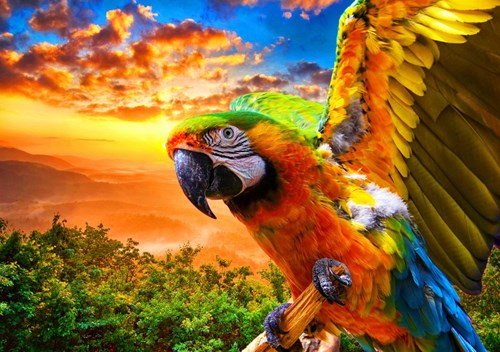 Bluebird Puzzle Parrot - 1000 Teile buntes Spielzeug Puzzle