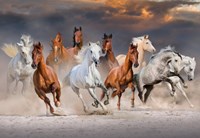 Bluebird Puzzle Puzzle The Horse Race - 1000 Teile Pferderennen Spaß