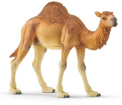 SCHLEICH 14832 Dromedar Wild Life