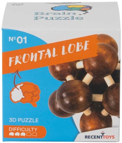 Recent Toys Holz Gehirntrainer Puzzle Frontal Lobe - Denkspiel