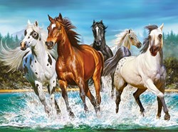 Castorland Puzzle Call of Nature - 2000 Teile Tiere