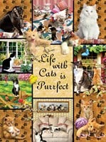 SunsOut Puzzle Katzen Jigsaw 1000 Teile buntes Spielzeug