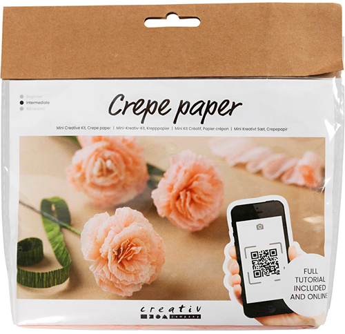 Creativ Company CC Creative Mini Hobby Set Krepppapier Blumen Nelken