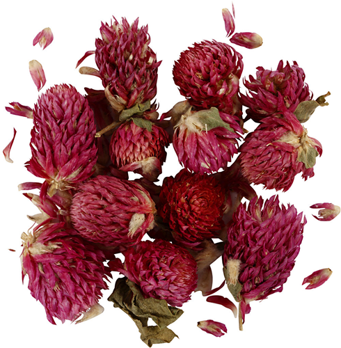Gedroogde Bloemen Rode Klaver Paars, 15gr