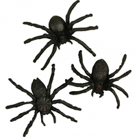 Creativ Company CC Zwarte Spinnen 10 stuks