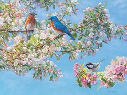 Cobble Hill Puzzle Blossom Festival - 275 Teile Puzzle Spaß