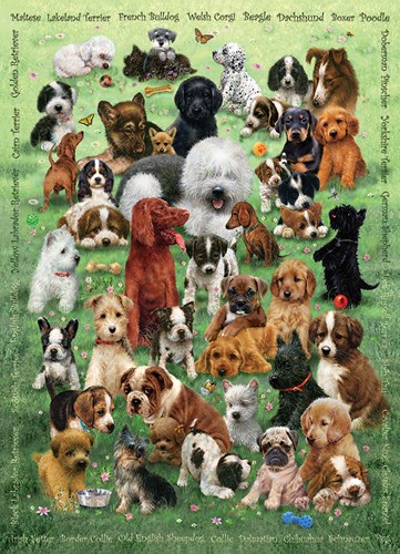 Cobble Hill Puzzle Puppy Love 350 Teile Familienpuzzle