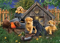 Cobble Hill Puzzle In the Doghouse 1000 Teile Puzzlespiel