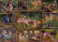 Cobble Hill Puzzle Into the Woods - Familienpuzzle - 350 Teile