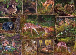 Cobble Hill Puzzle Into the Woods - Familienpuzzle - 350 Teile