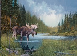 Cobble Hill Puzzle Moose Lake - 1000 Teile Puzzle Spaß