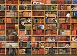 Cobble Hill The Cat Library - 1000 Teile