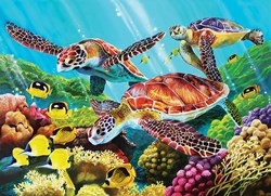 Cobble Hill Puzzle XXL Teile Tiere Molokini Current 350 Teile