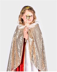 Den Goda Fen goldene Verkleidungscape mit Pailletten und Feen-Accessoires