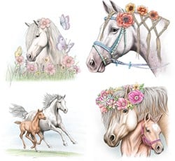 Depesche Miss Melody Special kleurboek