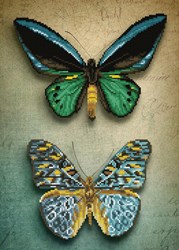 Diamond Dotz Diamond Dotz - Antique Butterflies