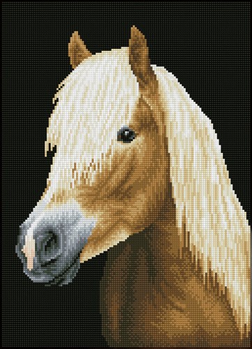 Diamond Dotz Diamond Painting Chester - Pferd Bastelset 47x34cm