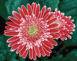 Diamond Dotz Diamond Painting Bastelset - Pink Gerberas - mit Rahmen