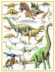 Eurographics puzzle Dinosaurier des Jura - 1000 Teile