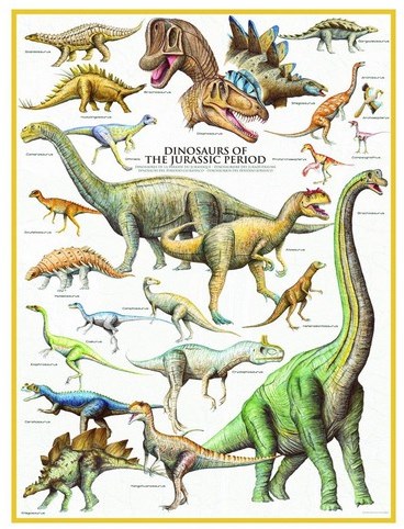 Eurographics puzzle Dinosaurier des Jura - 1000 Teile