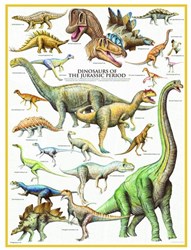 Eurographics puzzle Dinosaurier des Jura - 1000 Teile