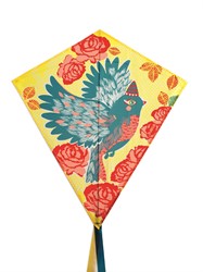 Djeco Drachen Bird farbenfrohes Outdoor-Spielzeug für Kinder