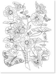 Djeco Ausmalbilder Natur - FSC MIX kreatives Zeichnen