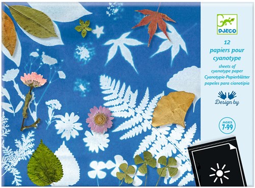 Djeco Kreativpapier Cyanotypie - FSC MIX Bastelset-2